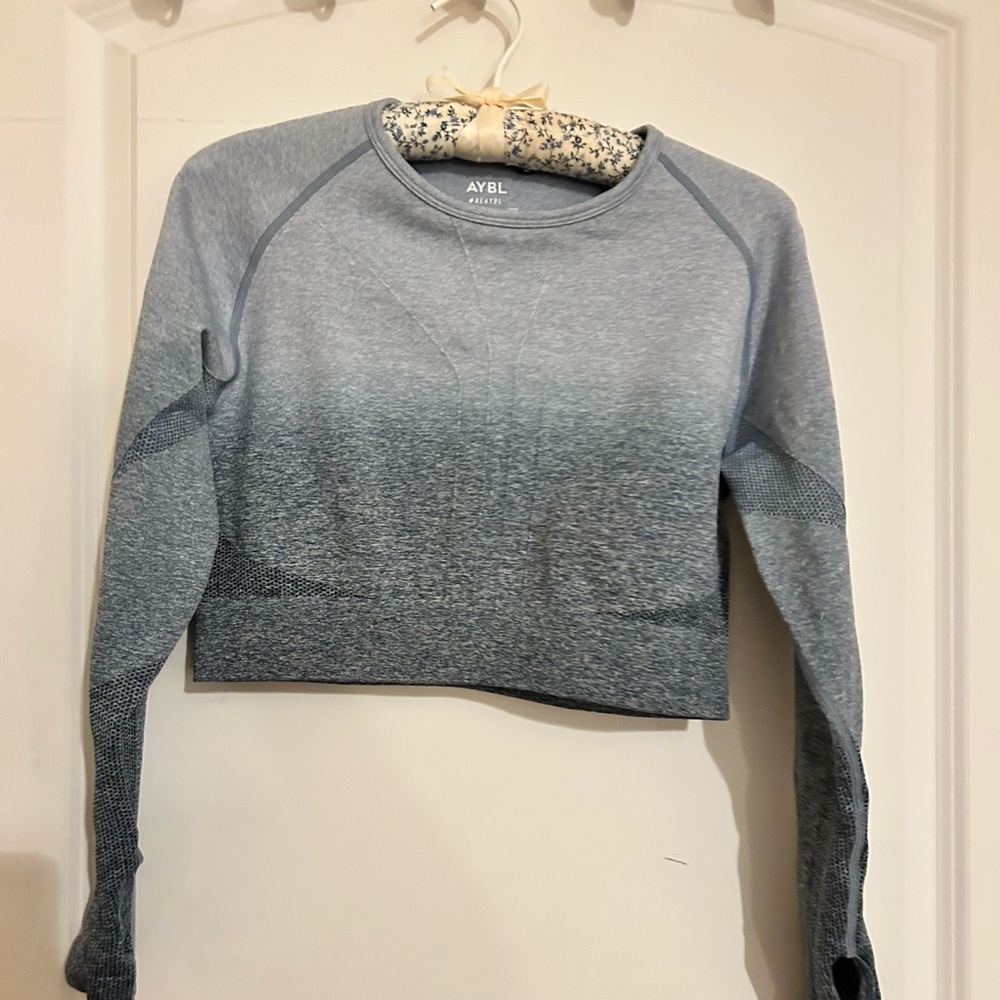 AYBL Pulse Ombré Seamless Long Sleeve Cropped